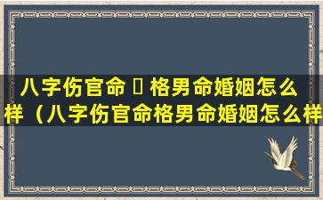 八字伤官命 ☘ 格男命婚姻怎么样（八字伤官命格男命婚姻怎么样啊）